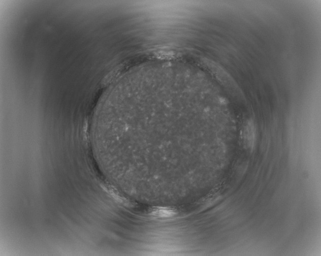 X0000068260610200605121822