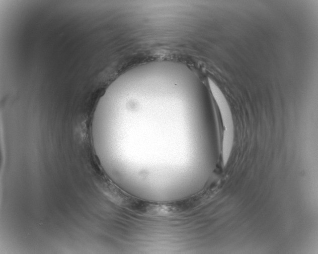 X0000068260611200605121822