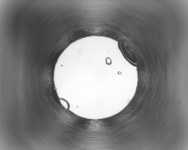 X0000068260612200605121822