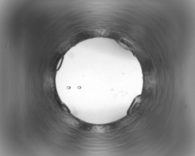 X0000068260613200605121822