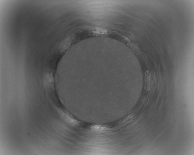 X0000068260614200605121822