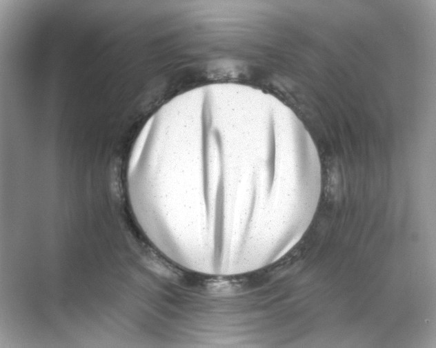 X0000068260616200605121822