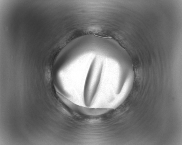 X0000068260617200605121822