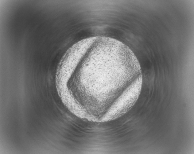 X0000068260618200605121822