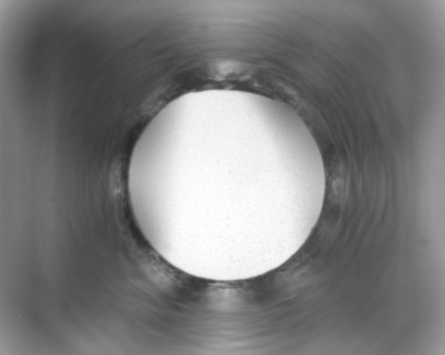 X0000068260620200605121822