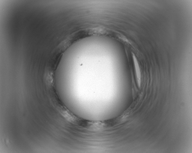 X0000068260621200605121822