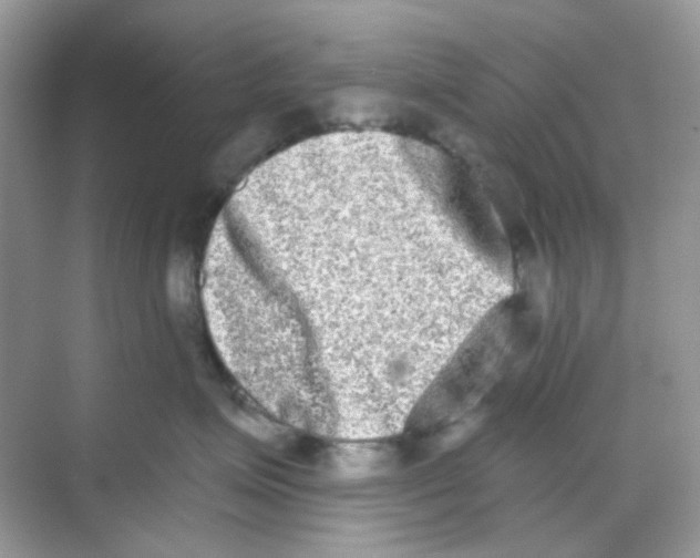 X0000068260623200605121822