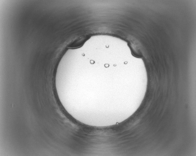 X0000068260625200605121821