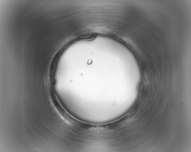 X0000068260630200605121821