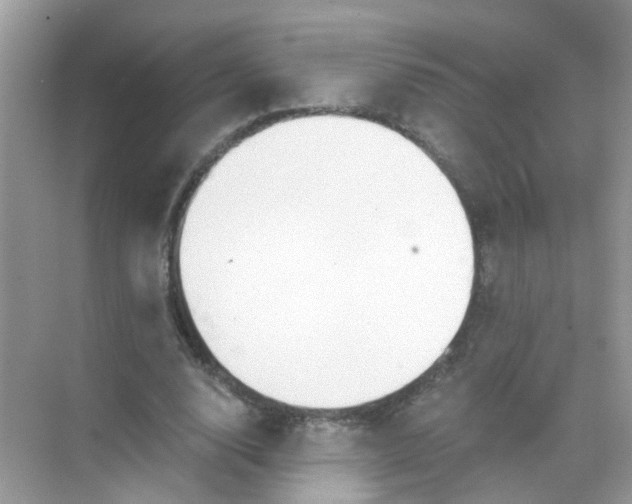 X0000068260632200605121821