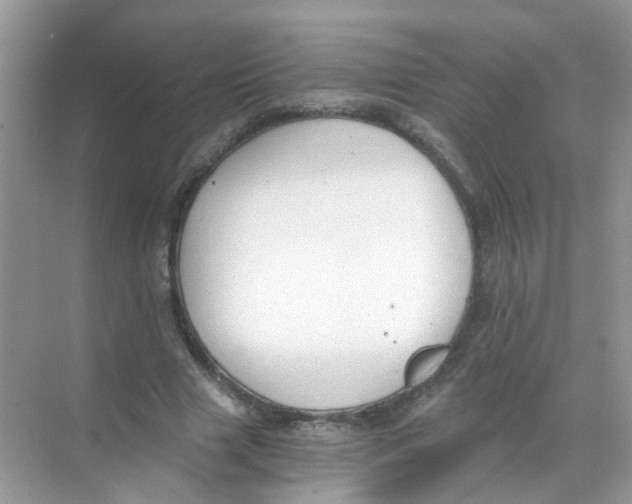 X0000068260633200605121821