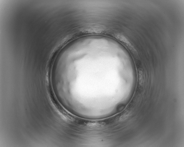 X0000068260634200605121821