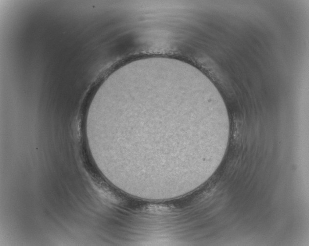 X0000068260636200605121821