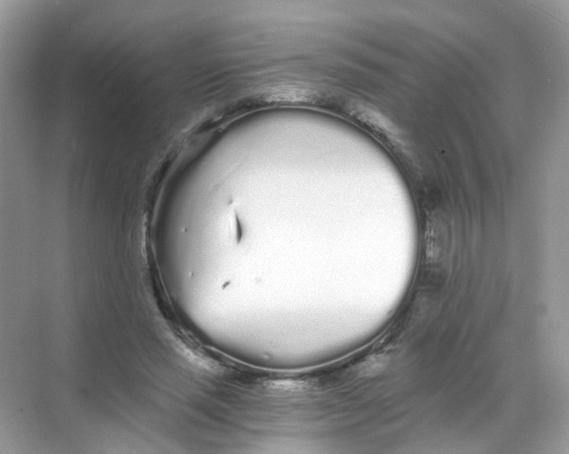 X0000068260637200605121821