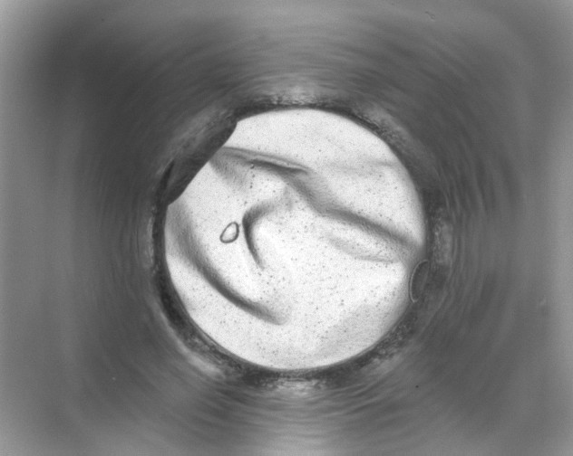 X0000068260638200605121821