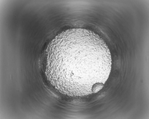 X0000068260641200605121821