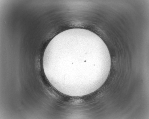 X0000068260642200605121821