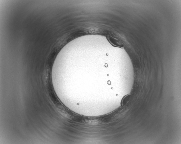 X0000068260645200605121821