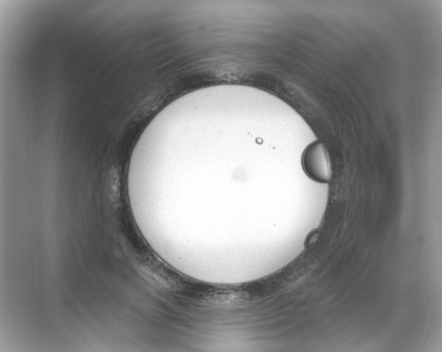 X0000068260646200605121821