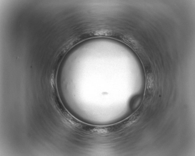 X0000068260648200605121821