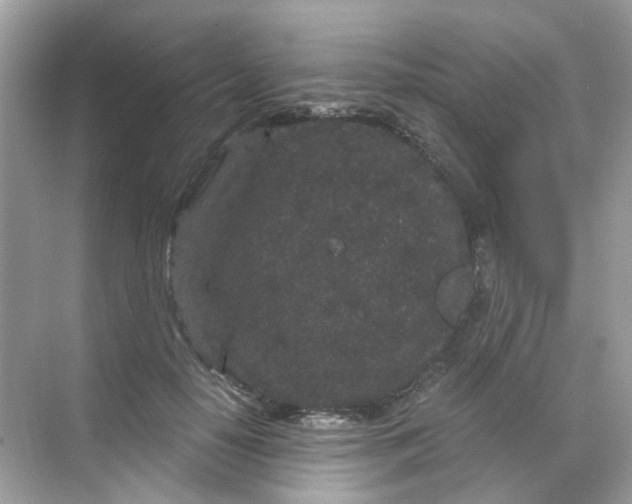 X0000068260650200605121821