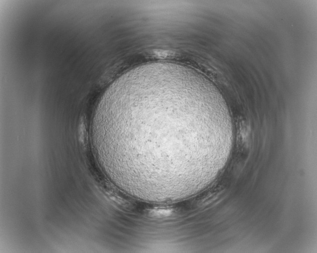 X0000068260651200605121821