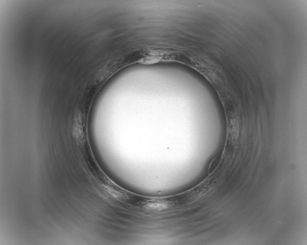 X0000068260653200605121821