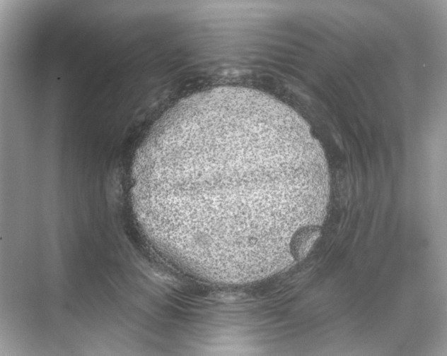 X0000068260654200605121821