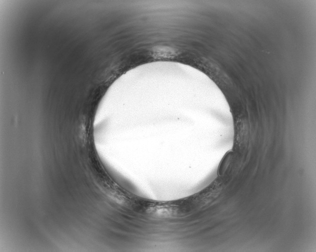 X0000068260655200605121821