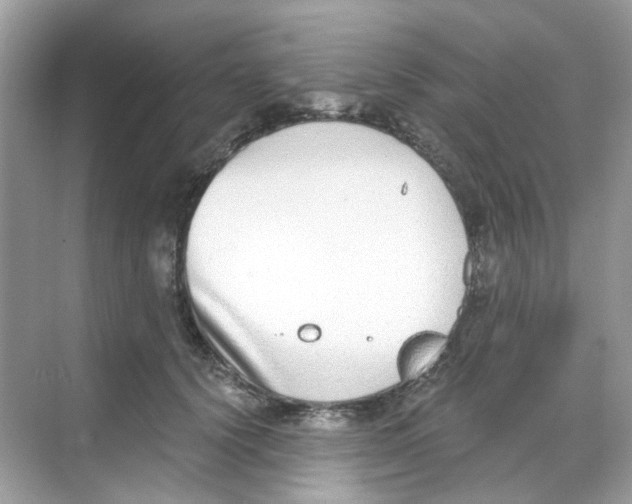 X0000068260656200605121821