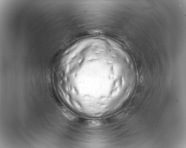 X0000068260658200605121821