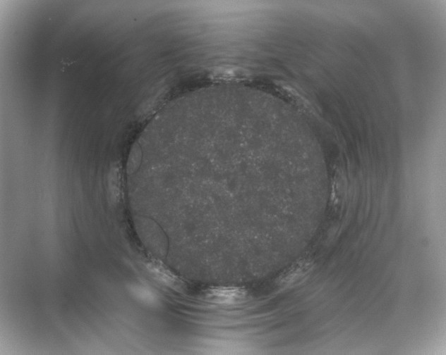 X0000068260659200605121821