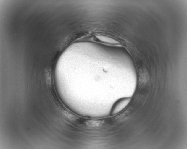 X0000068260661200605121821