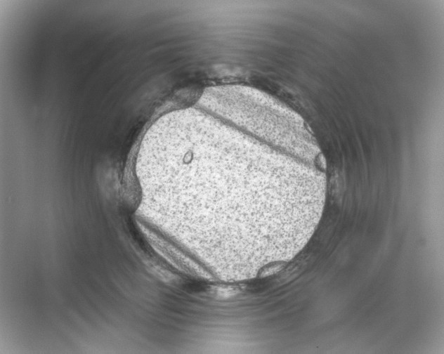 X0000068260662200605121821