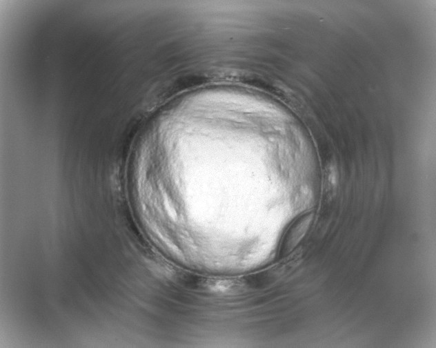 X0000068260663200605121821