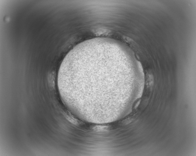 X0000068260664200605121821