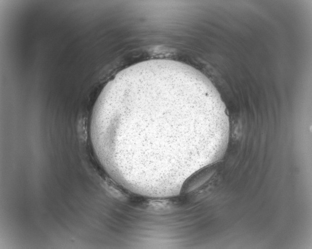 X0000068260666200605121821