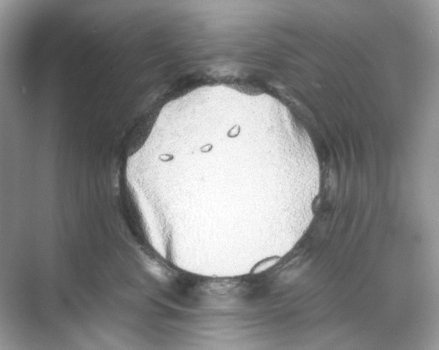 X0000068260668200605121821