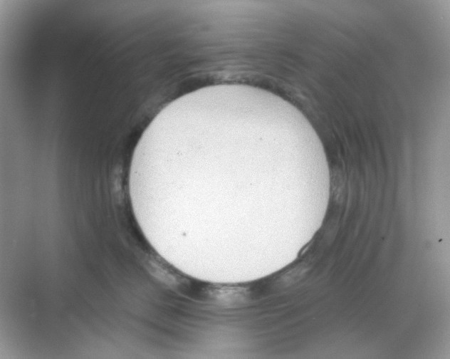 X0000068260670200605121822