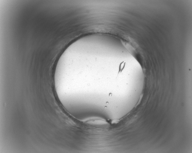 X0000068260673200605121821