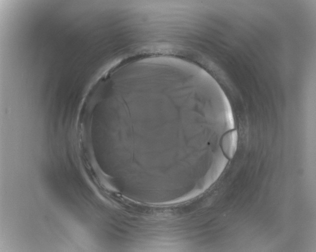 X0000068260674200605121821