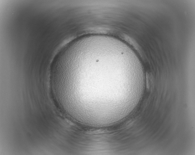 X0000068260675200605121821