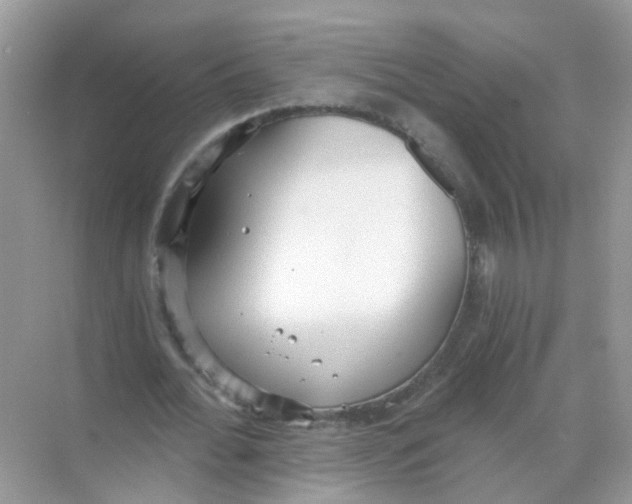 X0000068260676200605121821