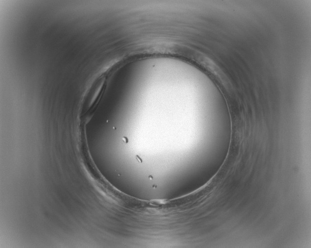 X0000068260677200605121821