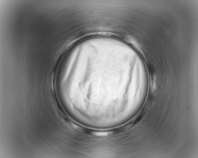 X0000068260679200605121821