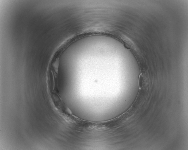 X0000068260680200605121821