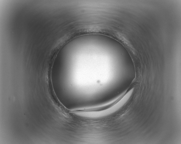 X0000068260681200605121821