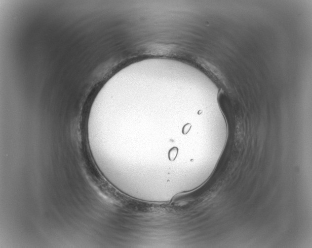 X0000068260682200605121821