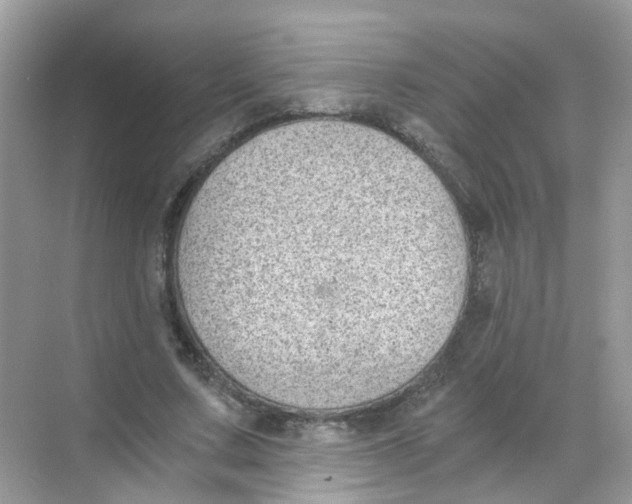 X0000068260683200605121821