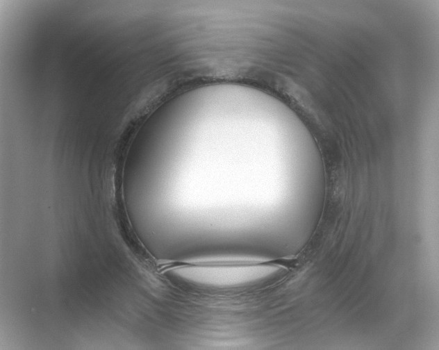 X0000068260685200605121821